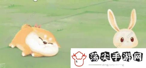 向往的生活手游宠物怎么得