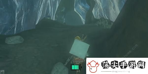 王国之泪沉睡于山中秘泉的秘宝任务怎么做