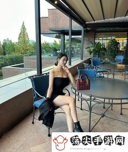 法国满天星欢愉