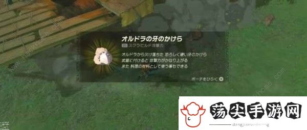 王国之泪奥尔龙飞行路线及刷新时间一览