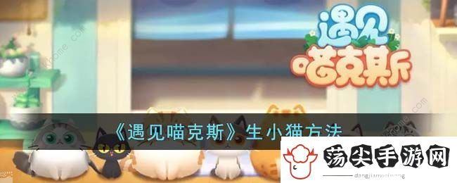 遇见喵克斯怎么生小猫