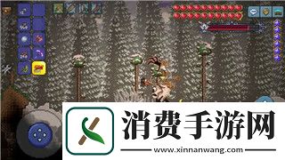星辰奇缘所有宝宝图鉴的连载情况如何以及这对玩家体验的影响
