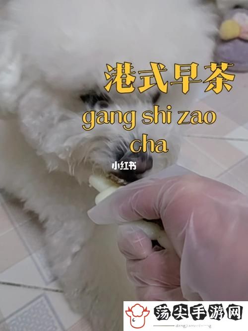 欧美人和禽类胶配方大全