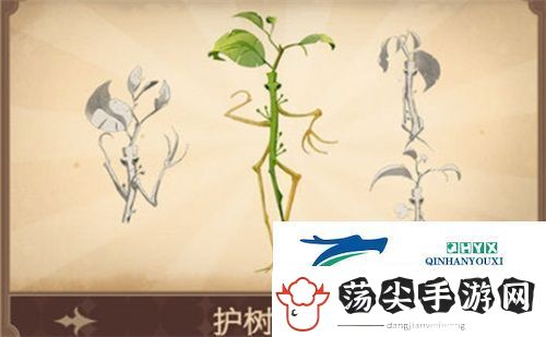 哈利波特魔法觉醒护树罗锅有什么用