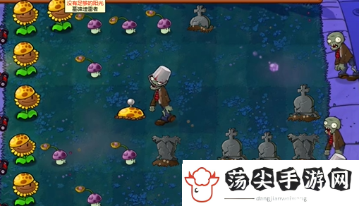 植物大战僵尸杂交版前院告急第十一关怎么过