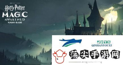 哈利波特魔法觉醒多比打棒球卡组怎么配