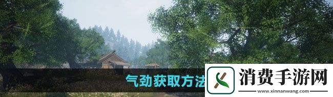 聊一聊下一站江湖2气劲获取方法