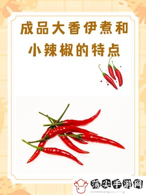 探索成品大香伊煮和小辣椒的美味之旅
