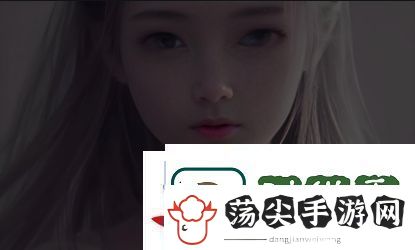为什么亚洲大片能够永久吸引NBA粉丝并成为球迷文化的一部分