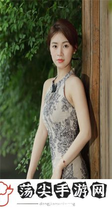 LT画质助手：揭秘LT画质助手的卓越魅力