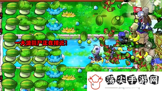 植物大战僵尸杂交版泳池防守第六关怎么过