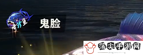 什么鱼最稀有 攻略教你节奏