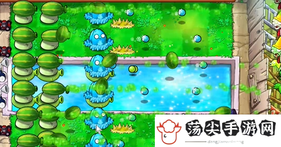 植物大战僵尸杂交版泳池防守第六关怎么过