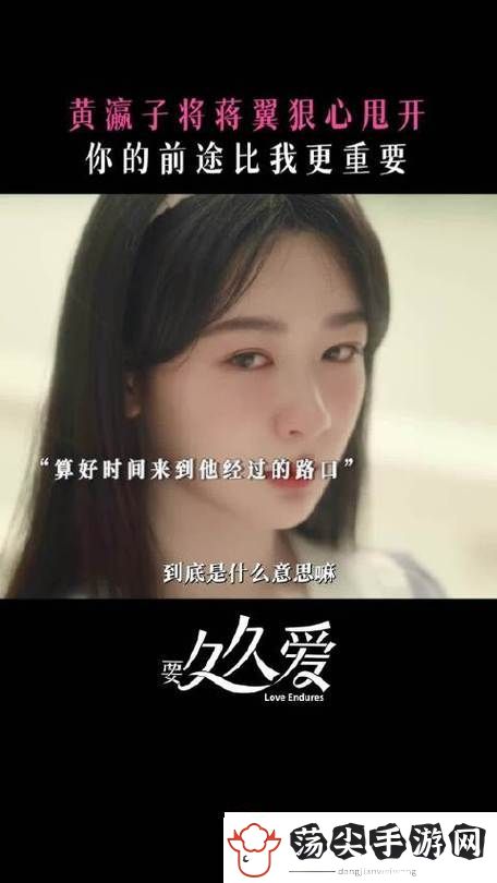 追寻爱情真谛