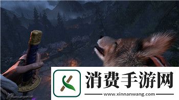 造梦西游2装备掉落大全唐僧怎么获得的