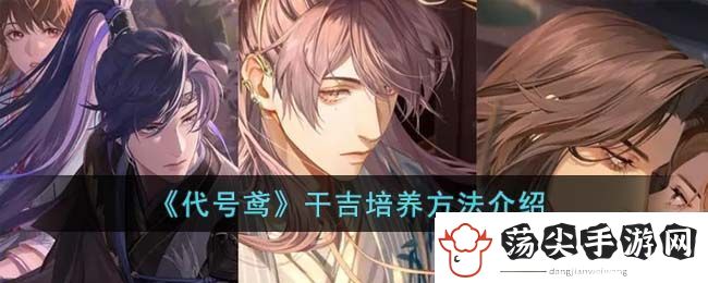 代号鸢干吉培养方法介绍