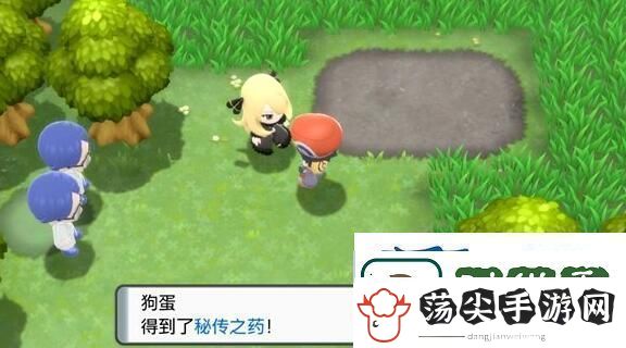 宝可梦晶灿钻石明亮珍珠可达鸭挡路解决方法