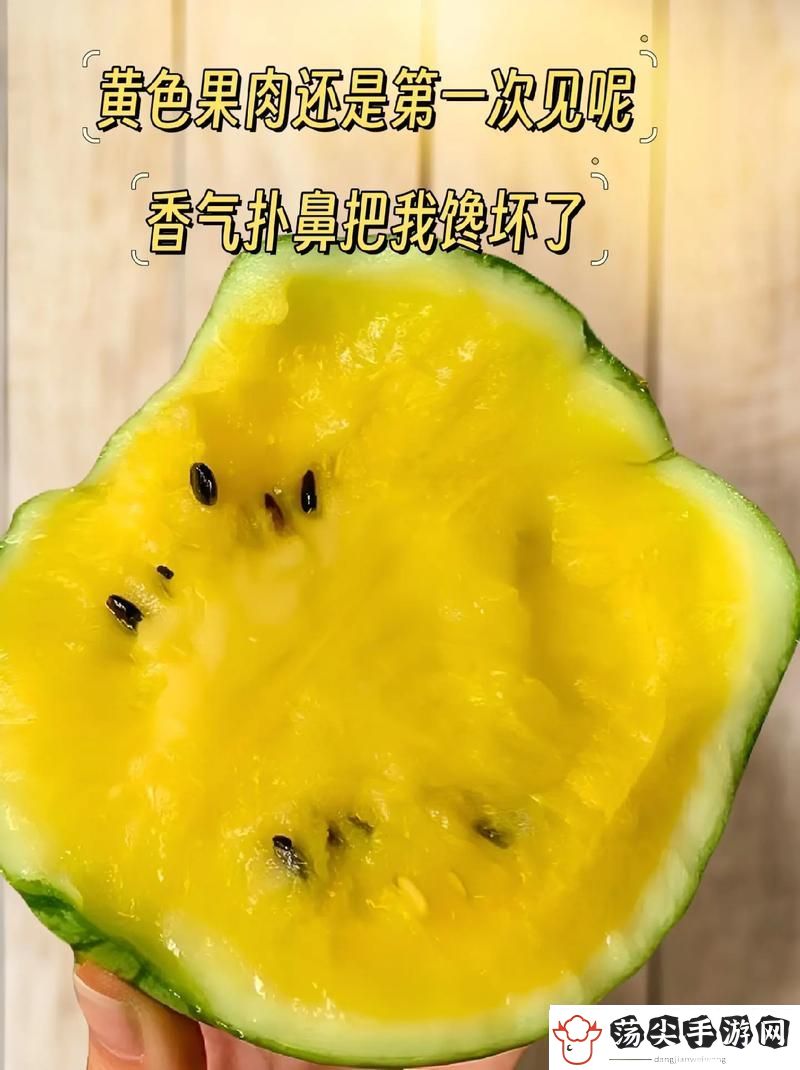 三年成全免费高清看西瓜