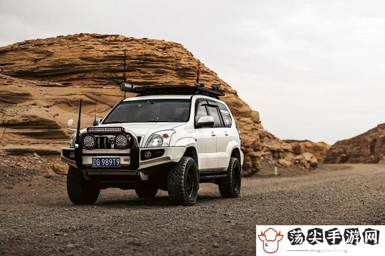 欧美无人区码SUV