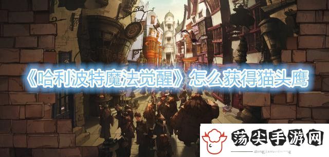 哈利波特魔法觉醒猫头鹰怎么获得