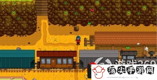 星露谷物语夏天种植什么赚钱(夏天赚钱农作物介绍)